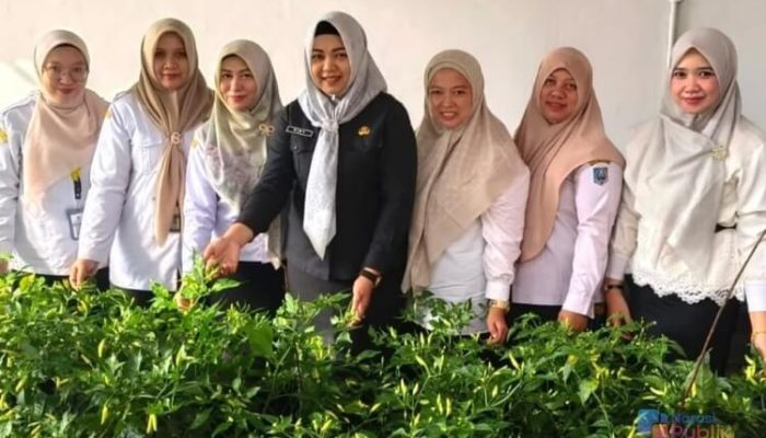 Tekan Inflasi Pangan, Inspektorat HSS Manfaakan Pekarangan Kantor Jadi Kebun Cabai