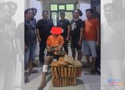 Hendak Kabur Saat Bawa 26 Kg Ganja di Labusel, Polisi Lumpuhkan DAS dengan Timah Panas