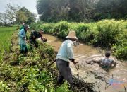Cegah Banjir, Babinsa Batang Alai Selatan HST bersama warga Bersihkan Aliran Sungai