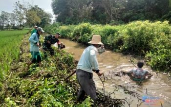 Babinsa Koramil 1002-01/Batang Alai Selatan bersama warga Desa Tembok Bahalang membersihkan aliran sungai sebagai upaya pencegahan banjir. (Dok. Istimewa)