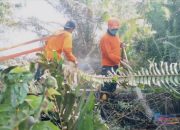 BPBD Temukan Barang Bukti, Lahan di Pontianak Diduga Sengaja Dibakar