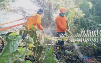 Personil BPBD Pontianak melakukan pembasahan terhadap lahan yang terbakar. (Dok. BPBD Pontianak)