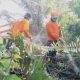 Personil BPBD Pontianak melakukan pembasahan terhadap lahan yang terbakar. (Dok. BPBD Pontianak)