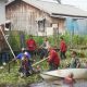 Wakil Kota Banjarmasin H.M Yamin HR meninjau langsung proses dan normalisasi Sungai Guring di kawasan Jalan Prona III, Kelurahan Pemurus Baru. (Dok. Istimewa)