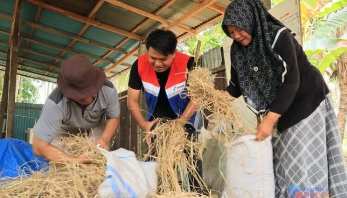 Pertamina Hadirkan SI CADIAK, Ubah Limbah Jerami Jadi Produk Bernilai Ekonomi
