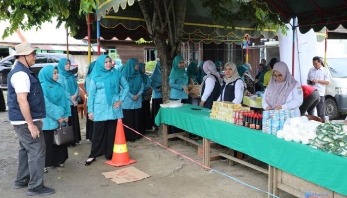 Pastikan Tepat Sasaran, Ketua TP PKK HSS Tinjau Pasar Murah di Kalumpang