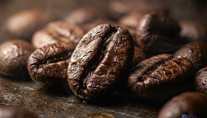 Aroma Biji Kopi Panggang Segar Premium: Kunci Cita Rasa Kopi Nikmat dan Berkualitas