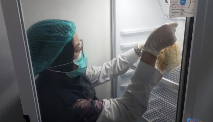 Investigasi Keracunan MBG di HSU, BPOM Tabalong Uji Sampel Makanan dari Dapur SPPG