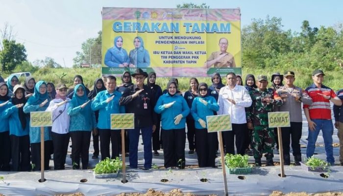 Tekan Inflasi, TP PKK Tapin dan Dinas Pertanian Gerakkan Tanam Cabai Serentak di Lima Desa