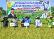Targetkan Swasembada Pangan, Bupati HSS Ikut Panen dan Tanam Padi Serentak