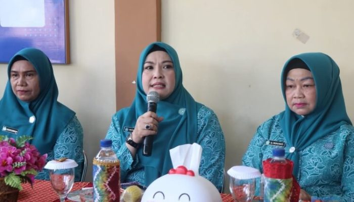 Jelang Penilaian PAAREDI, TP PKK HSS Tekankan Kelengkapan Data dan Inovasi Desa
