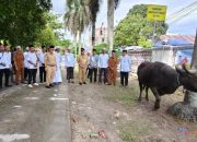 Sambut Iduladha 1447 H, BAZNAS dan Pemkab HSU Salurkan Puluhan Hewan Kurban