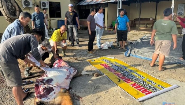 Polsek Tapin Selatan Bagikan Ratusan Paket Daging Kurban ke Warga