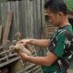 Serda Dani Abdul Hadi, Babinsa Koramil 1001-08/Sungai Pandan yang sukses ternak ribuan bebek Alabio petelur hingga ciptakan lapangan pekerjaan bagi masyarakat. (Dok. Istimewa)