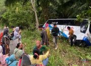 Diduga Tak Kuat Menanjak, Bus Damri Angkutan Wisatawan Terperosok di Loksado