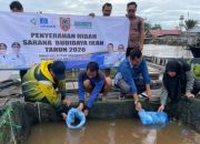 Dukung Program Gubernur, Dislautkan Kalsel Serahkan Bantuan Sarana Budidaya Haruan