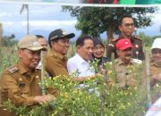 Identifikasi Program Nasional KSPEAN, Wamenko Pangan RI Puji Potensi Pertanian HSS