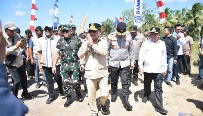 Gubernur Kalteng dan Bupati Kapuas Panen Raya Padi Seluas 25.799 Hektare
