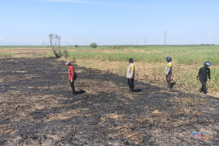 Tim gabungan melakukan ground check titik hotspot di Desa Mawar Sari, Kecamatan Amuntai Tengah. (Dok: Istimewa)