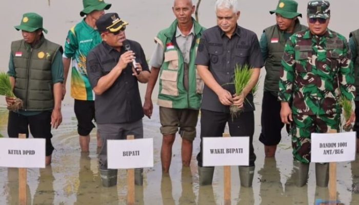 Tanam Padi di Manarap Hulu, Bupati HSU Janji Dukung Alsintan Petani