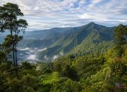 Mengapa Pegunungan Meratus Begitu Istimewa bagi Kalimantan Selatan?