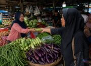 Dampak Kemarau Harga Sayur Mayur di Tabalong Melonjak Drastis
