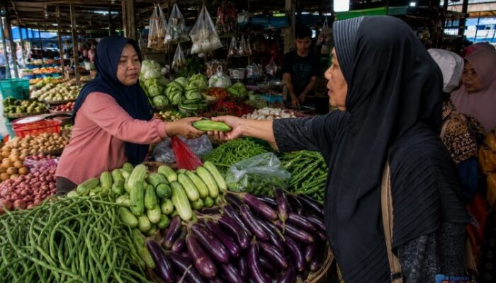 Dampak Kemarau Harga Sayur Mayur di Tabalong Melonjak Drastis