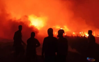 Tim gabungan melakukan penanganan terhadap Karhutla di Kabupaten Tapin. (Dok: Istimewa)