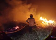Hingga Tengah Malam Tim Gabungan Berjibaku Padamkan Karhutla di Daha Barat HSS