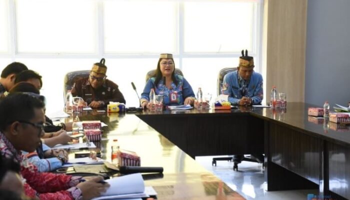 Sosialisasikan Regulasi Baru, Pemkab Kapuas Dorong Kemitraan Usaha Besar dan UMKM
