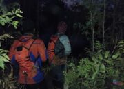 Karhutla Melanda Tapin, Belasan Ribu Tanaman Cabai Hiyung Ludes Terbakar