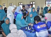 Dukung Kesehatan dan Ekonomi Warga, Ketua TP PKK HSS Tinjau IVA Test dan Pasar Murah