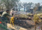 Rumah Kosong di Desa Bago Tanggul HSS Ludes Terbakar Akibat Karhutla