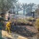 Kondisi rumah kosong di Desa Bago Tanggul HSS yang ludes terbakar akibat karhutla. (Dok: Istimewa)