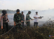 Turun ke Lokasi Karhutla, Bupati HSS Ikut Padamkan Api Bersama Relawan Gabungan