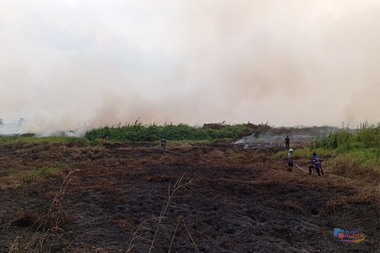 Satgas Karhutla gabungan berjibaku memadamkan api yang membakar lahan di kawasan Karang Rati, Desa Bangkau, Kecamatan Kandangan. (Dok: BPBD HSS)