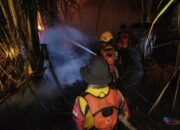 Bakar 7 Hektar Lahan, Relawan Gabungan Berjibaku Padamkan Karhutla di CLS Tapin