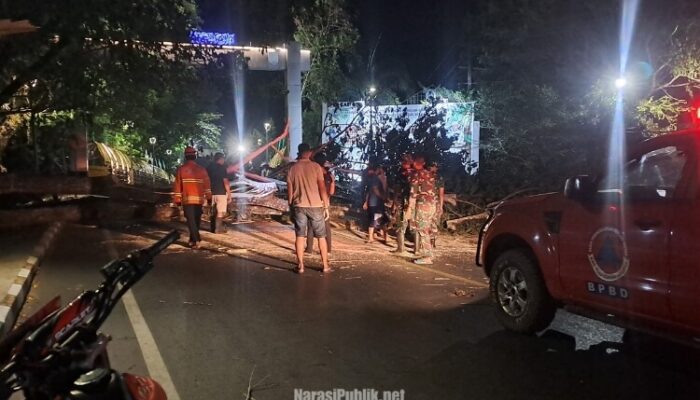 Diterjang Angin Kencang, Pohon Tumbang Tutup Akses Jembatan Antaludin Kandangan