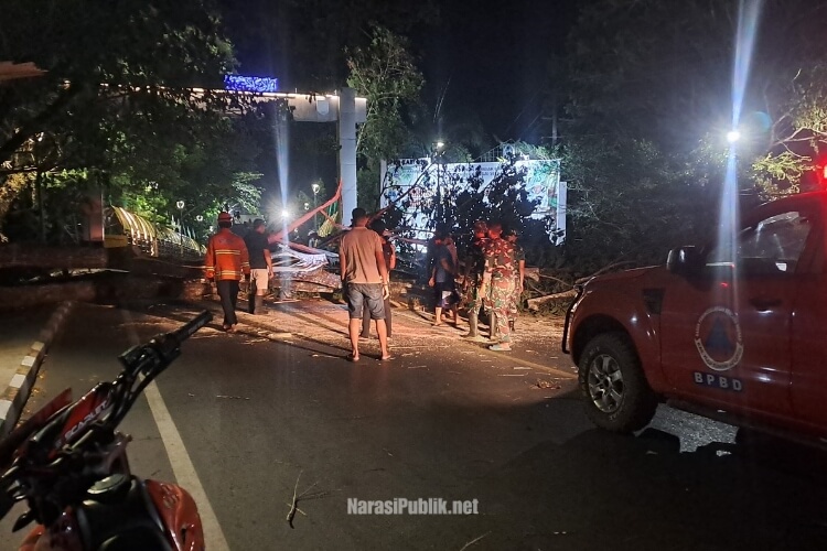 Petugas gabungan melakukan pembersihan terhadap pohon yang tumbang di kawasan Jembatan Antaludin Kota Kandangan. (Dok: Narasi Publik)