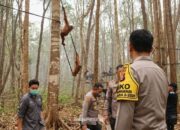 Polri Tingkatkan Patroli Hutan Lindungi Orang Utan Kalteng dari Ancaman Karhutla