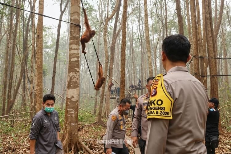 Dirpolsatwa Korsabhara Baharkam Polri Brigjen Pol Tory Kristianto bersama Kapolda Kalteng Irjen Pol Iwan Kurniawan meninjau Pusat Konservasi Orang Utan Nyaru Menteng di Palangka Raya. (Dok: Humas Polda Kalteng)