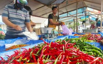 Salah satu pedagang cabai di Pasar Terpadu Kandangan, Kabupaten HSS. (Dok: Narasi Publik)