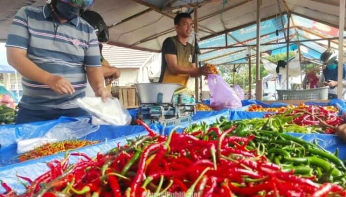 BPS Catat Harga Cabai Merah dan Rawit di 327 Daerah Melonjak, Tembus Di Atas HAP
