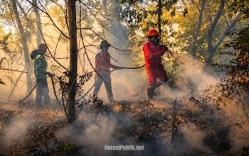 Tim relawan gabungan melakukan pembasahan di lahan bekas Karhutla. (Dok: Manggala Agni)