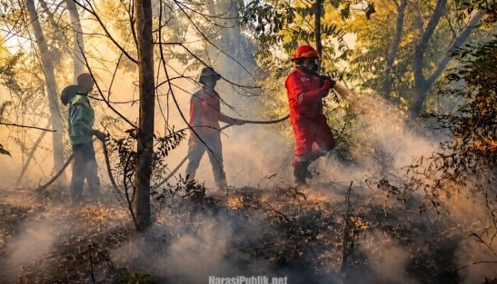 Cegah Bara Api Menyala Lagi, Tim Gabungan Sisir Lokasi Karhutla TNTP