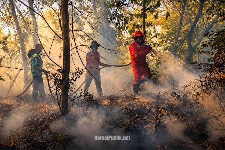 Tim relawan gabungan melakukan pembasahan di lahan bekas Karhutla. (Dok: Manggala Agni)