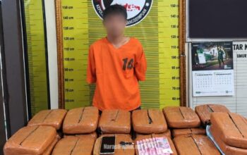 Pria berinisial S (34) beserta barang bukti 20 kilogram ganja kering berhasil diamankan Jajaran Satresnarkoba Polres Padangsidimpuan. (Dok: Istimewa)