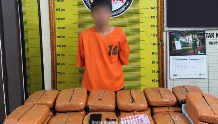 Nekat Bawa 20 Kg Ganja, Kurir Narkoba Diringkus Polres Padangsidimpuan