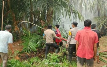 Petugas gabungan melakukan pemadaman terhadap api yang membakar lahan rumbia di Desa Teluk Daun, Kecamatan Amuntai Utara. (Dok: Istimewa)