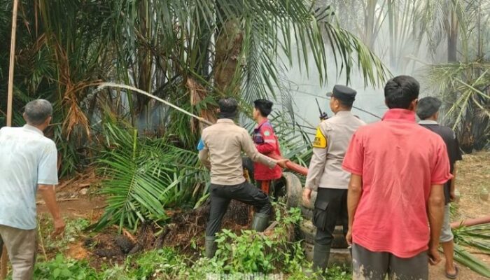 Karhutla di Teluk Daun HSU Hanguskan Lahan Rumbia Dekat Rumah Warga